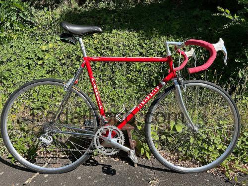 Pinarello Treviso ficha tecnica
